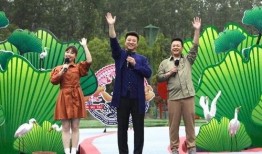 喜茶最新爆料广告视频,潮流饮品背后的故事与惊喜